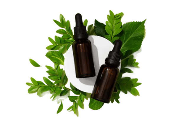 Natural wellness – Yangseed