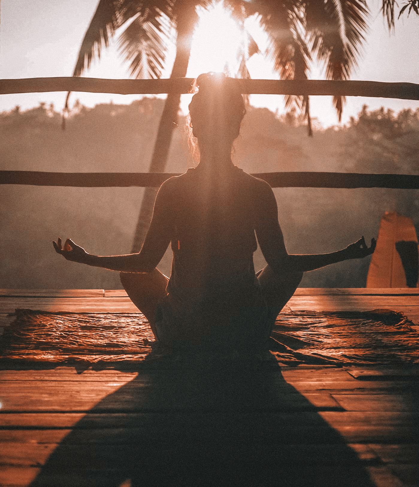 Yangseed Marketplace — curated ecosystem for healthier living