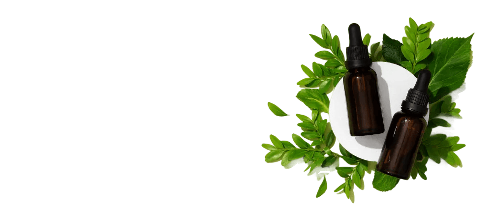 Standards First Background