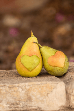 Nourishment During Stress & Uncertainty
