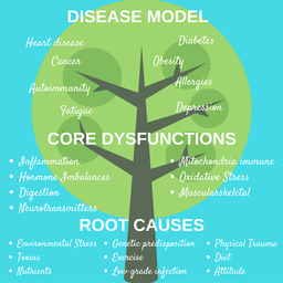 Functional Medicine