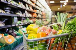 The Nutritional Therapy Blueprint